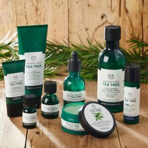 The Body Shop Tea Tree Range