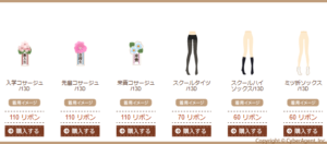 Entrance Ceremony Items 2013 - 3