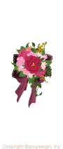 Classical Bouquet : pk
