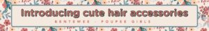Introducing cute hair accessories