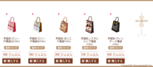 2012 New Year Lucky Bag - 1