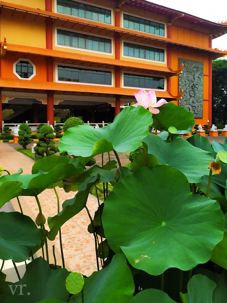 🇮🇩 Medan Unsorted